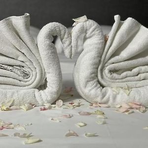 Standard Doppelzimmer