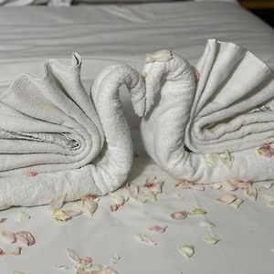 Standard Doppelzimmer